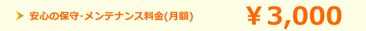 安心の保守・メンテナンス料金(月額)3,000円